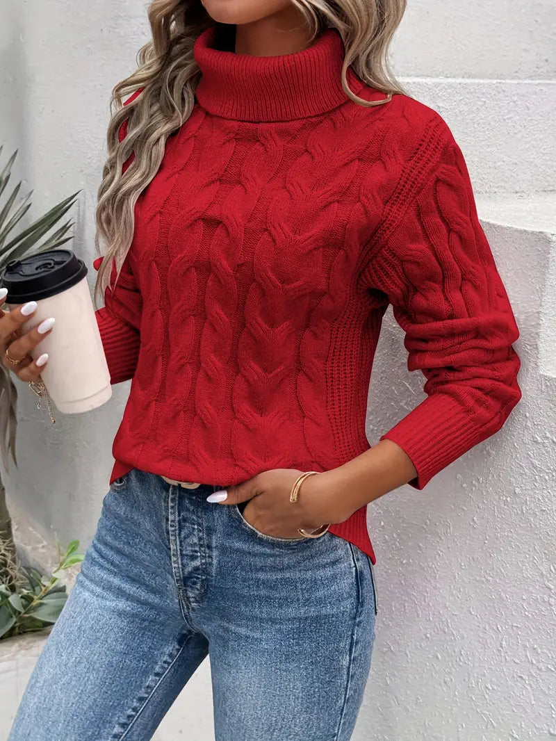 Pull torsadé à col roulé et finitions côtelées — Amielle Paris